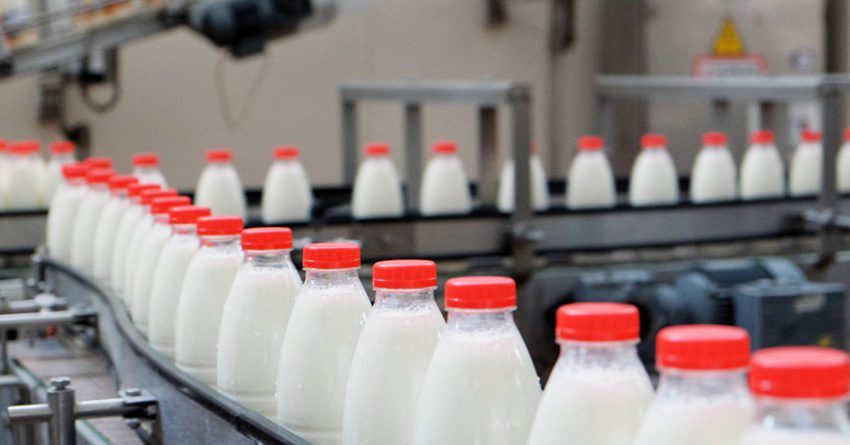 Контрольная закупка: как проверить качество молочной продукции?(видео)