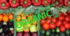 В ЕАЭС планируют сформировать единый рынок органической продукции