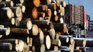 Введен временный запрет на вывоз древесины и лесоматериалов за пределы ЕАЭС