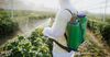 В Оренбургской области пресечен незаконный ввоз пестицидов из КР
