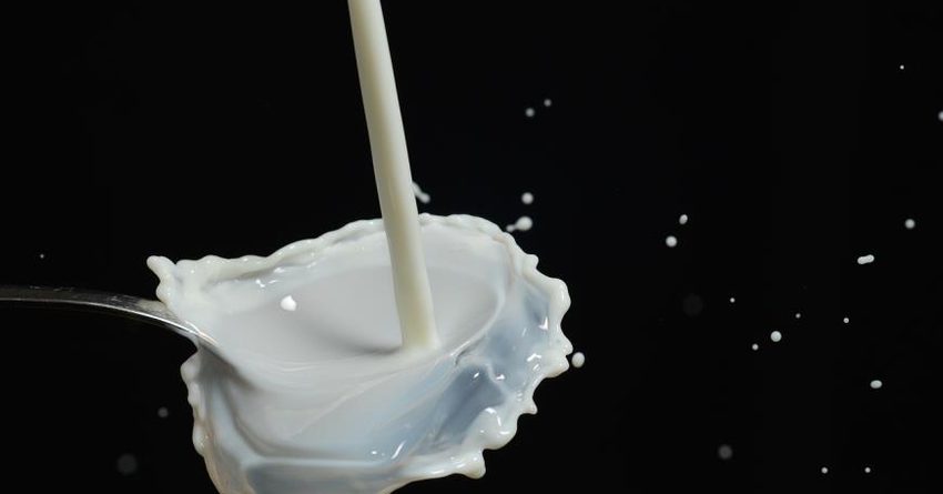 Молоко у производителей предлагают закупать не ниже 40 сомов