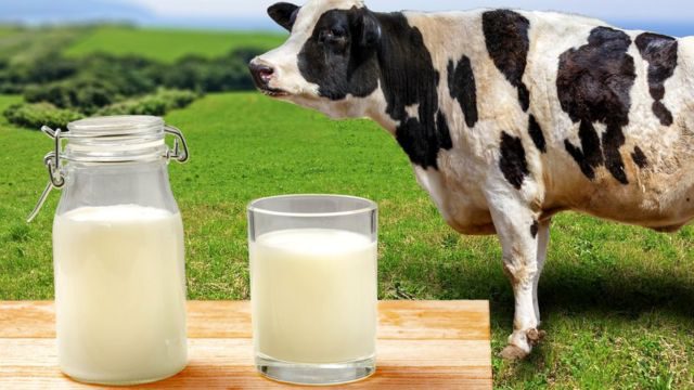 В Кыргызстане за год молоко подорожало на 6.49 %