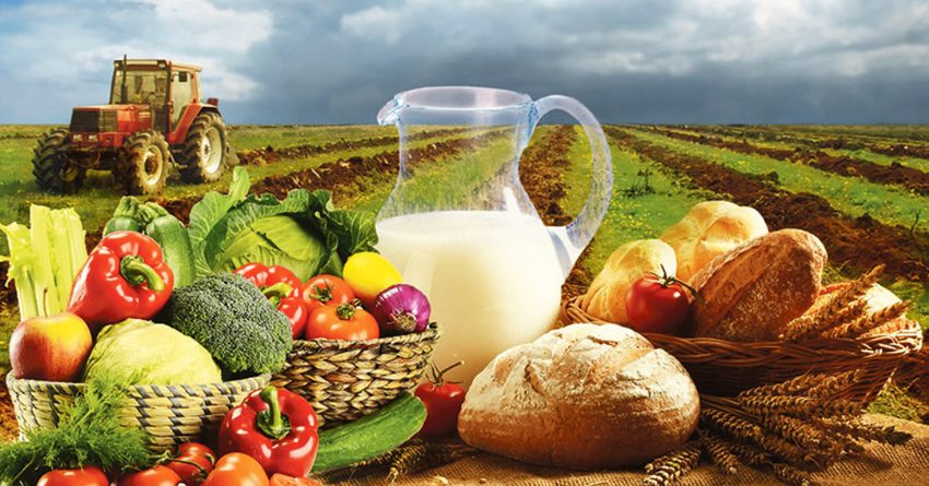 КР покрывает потребность только в овощах и молоке