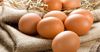 В Иссык-Кульской области отмечен спад производства яиц на 25.6%