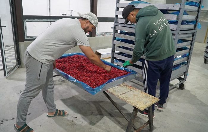 USAID передал фермерам в Баткенской области оборудование для заморозки