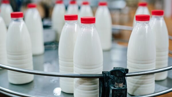 «Ала Тоо Сут» будет поставлять молочную продукцию в Узбекистан