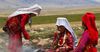 На постройку домов для кыргызов с Памира выделены первые 10 млн сомов