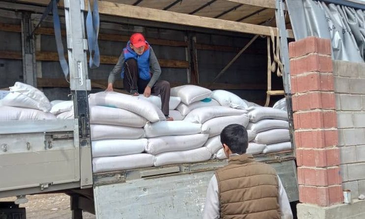 Кыргызстан получил семена зерновых из России