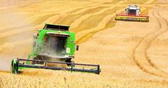Ставка по кредитам для сельхозпроизводителей в Казахстане снижена до 3%