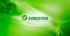 Компания Forester прокомментировала информацию об обысках