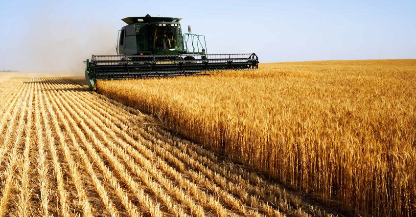 Производство сельхозпродукции в 2018 году превысило 200 млн сомов