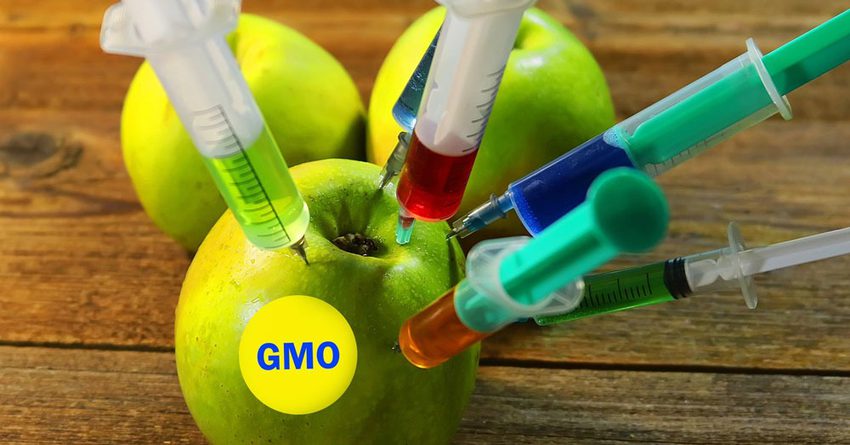 ГМО үрөндөрүн импорттоого тыюу салынат