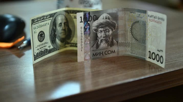 Нелегальный валютчик оштрафован в Иссык-Кульской области