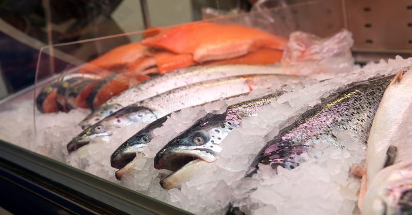В Россию не пропускают рыбу из Кыргызстана весом более 2  килограммов