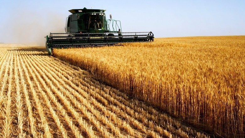 Реальный рост производства в сельском хозяйстве ожидается на уровне 2.2%