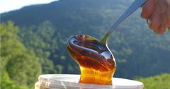 Кыргызстан экспортирует мед в 25 стран мира