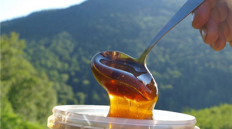 Кыргызстан экспортирует мед в 25 стран мира