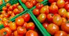 ЕЭК одобрила беспошлинный ввоз томатов в Россию и Беларусь
