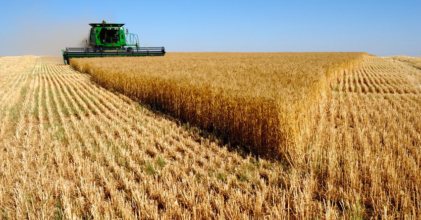 Более половины гарантий по кредитам пришлось на сельхозсектор