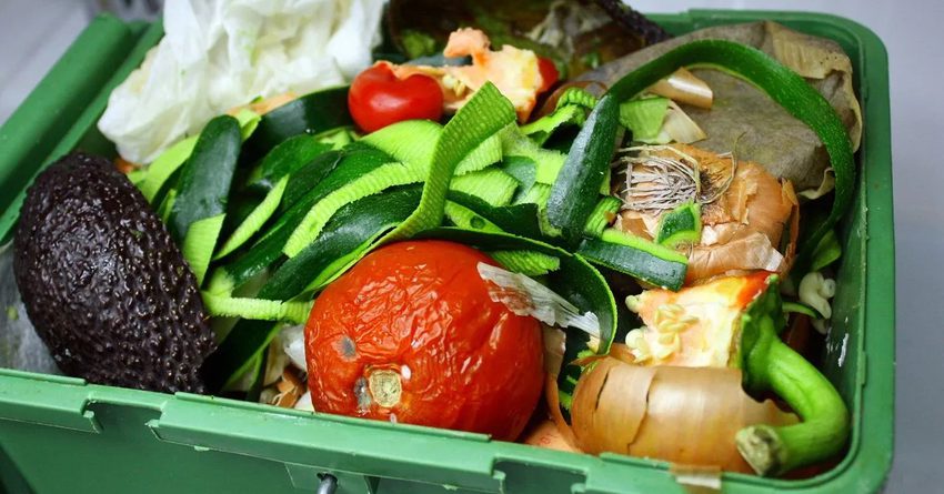 Как избежать образования пищевых отходов — советы от ФАО