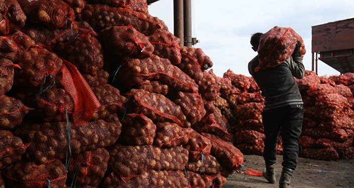 Атамекендик айыл-чарба азыктарынын экспорту жогорулады