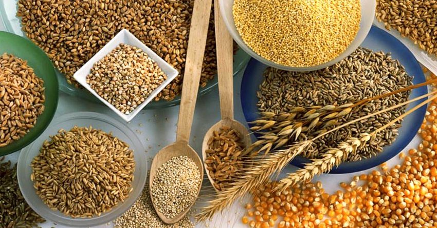 В ЕАЭС разработают биржевые инструменты для торговли зерном