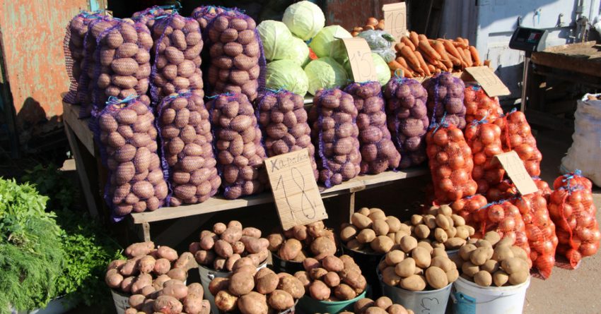 Сельхозпроизводители могут продавать свою продукцию на ярмарке в Бишкеке
