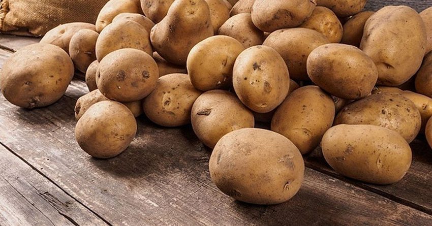 В Бишкеке на среднюю зарплату можно купить 700 кг картофеля