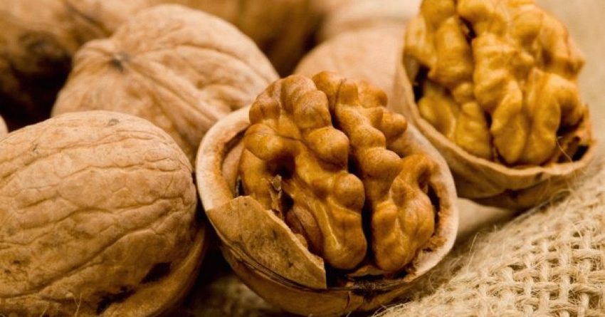 Несертифицированные грецкие орехи из Кыргызстана пытались ввезти в РФ