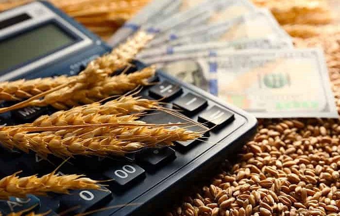 На кредитование сельского хозяйства выделено 10 млрд сомов