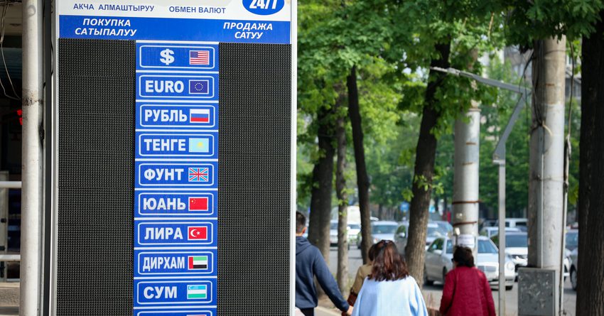 Сом просел ко всем основным валютам, кроме рубля. Курс НБ КР на 31 мая