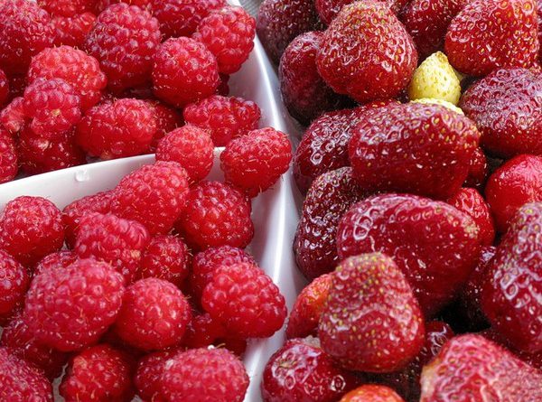 В Новосибирск не пустили более 20 тонн сливы и ягод из КР