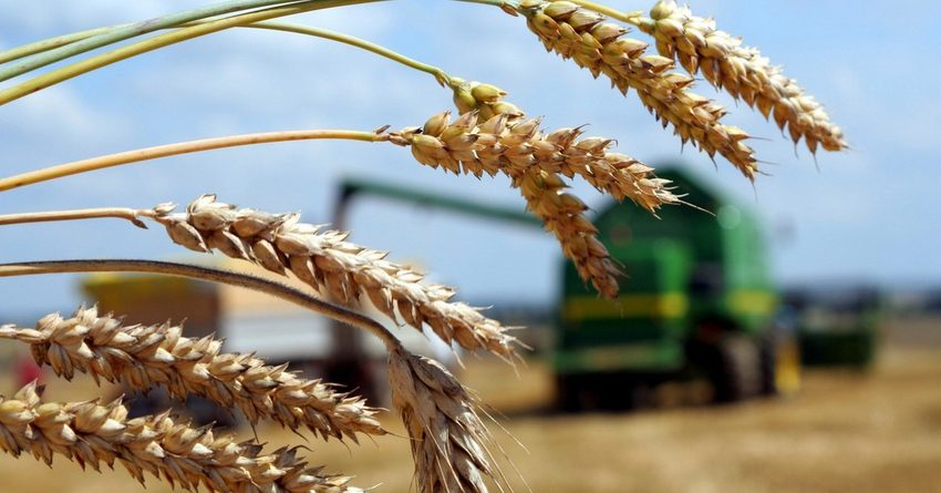 Объем льготного кредитования фермеров КР перевалил за 5 млрд сомов