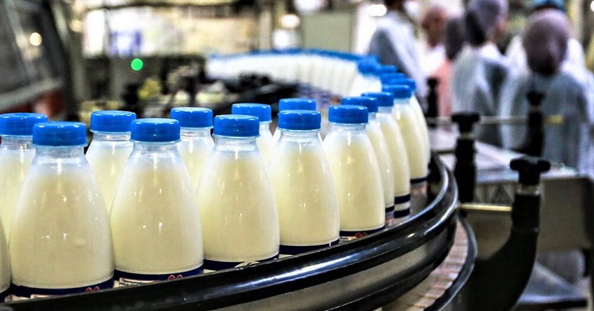 В Кыргызстане производство молока выросло почти на 2.1%