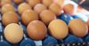 С мая Казахстан запретит ввоз куриных яиц автотранспортом