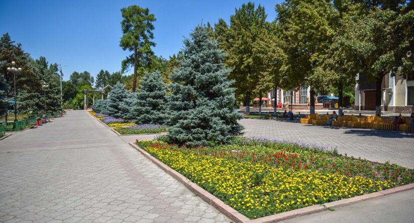 Тяжелый понедельник: Бишкекзеленхоз объявил тендер на 1.6 трлн сомов