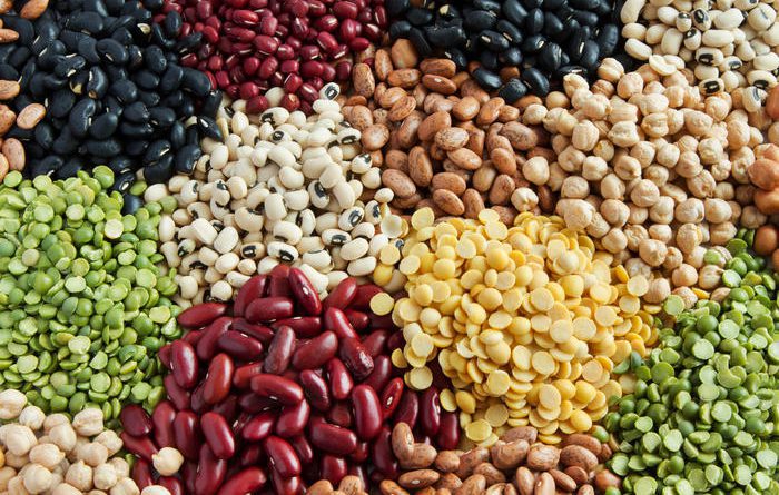 Кыргызстан экспортирует бобовые овощи в 28 стран