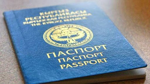 Подать документы на получение гражданства КР можно будет онлайн