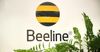 Beeline оспорил штраф за нарушение антимонопольного законодательства