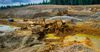 Золотодобывающие компании в Джалал-Абадской области загрязняют воду