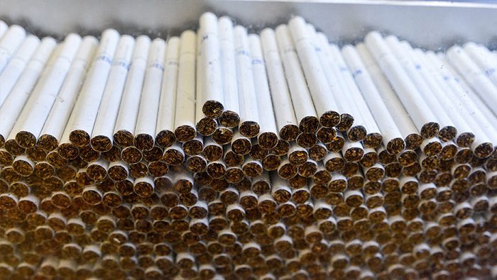 В Кыргызстане доля нелегальных сигарет выросла до 12.7%