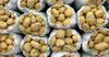 За полгода Кыргызстан импортировал 2.2 тысячи тонн картофеля из семи стран
