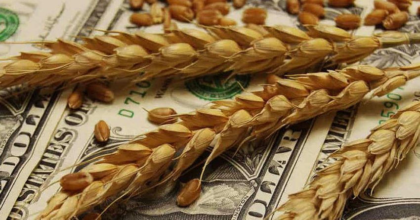 В 2022 году кредиты получили 2.2% фермерских хозяйств КР — Атазов