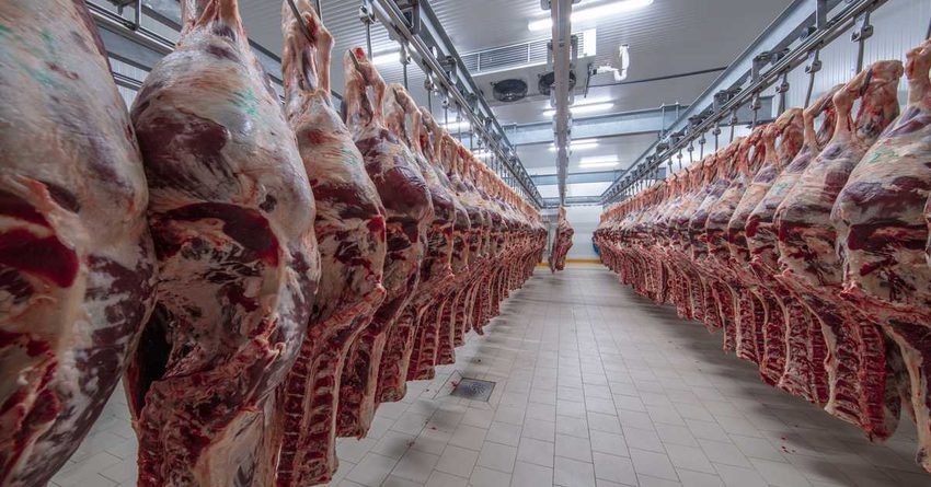 Цены на мясо выросли  на 13.9% за 2022 год