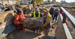 «Бишкекзеленхоз» выделил 700 кубов дров нуждающимся семьям