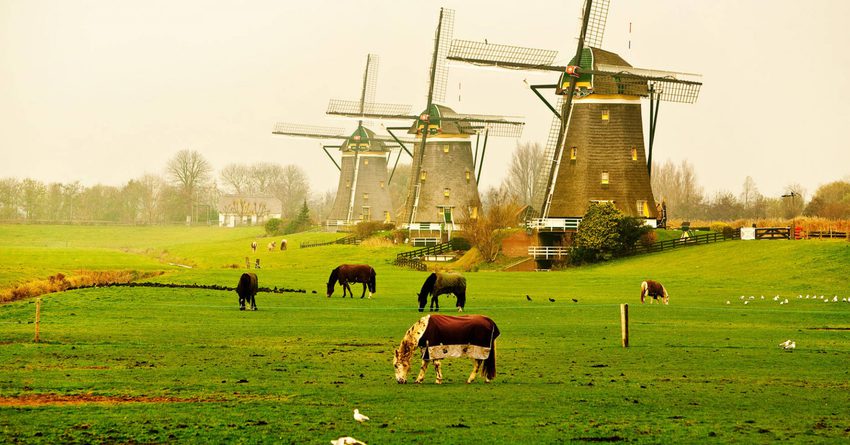 Гражданам КР могут открыть программу трудоустройства в Нидерландах