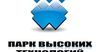 Кыргызстандык IT -продуктун 85% экспорттолот (видео)