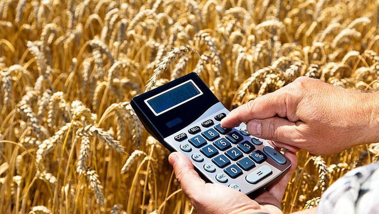 Сельское хозяйство профинансировали на 4.9 млрд сомов