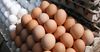 В КР зафиксированы самые высокие цены производителей на куриные яйца
