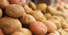 Кыргызстан Өзбекстанга картошка экспорттойт